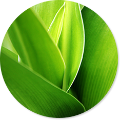 マイナスイオン発生