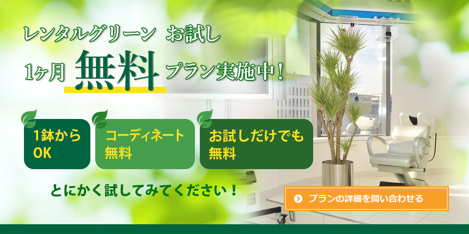 レンタルグリーンお試し設置無料キャンペーン