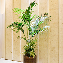 オーダーコーディネート例