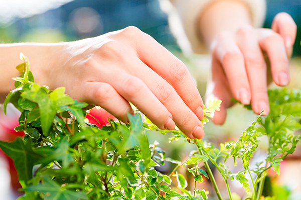 いのちのための研究