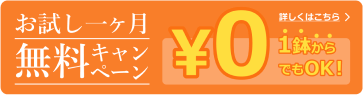 お試し一ヶ月無料キャンペーン
