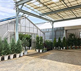 茨木ナーセリー写真