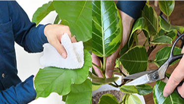 定期的なメンテナンス