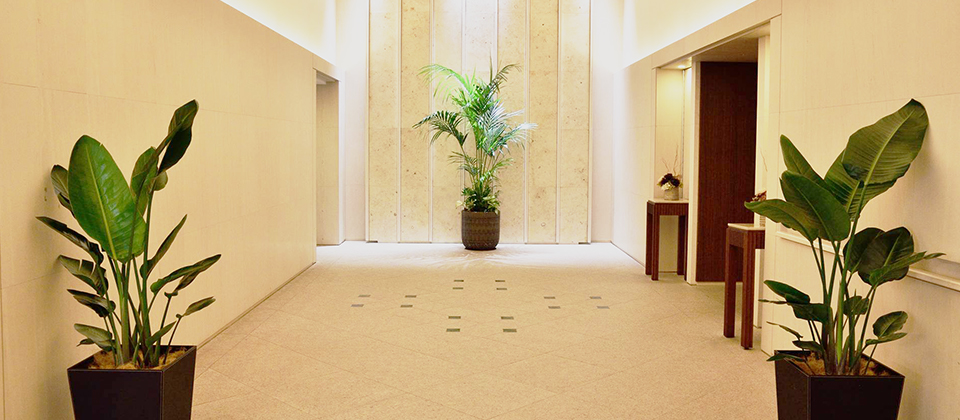 オフィス・店舗向け観葉植物レンタルの百年緑化