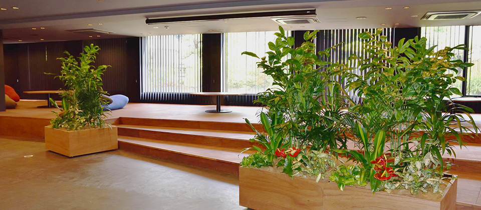 オフィス・店舗向け観葉植物レンタルの百年緑化