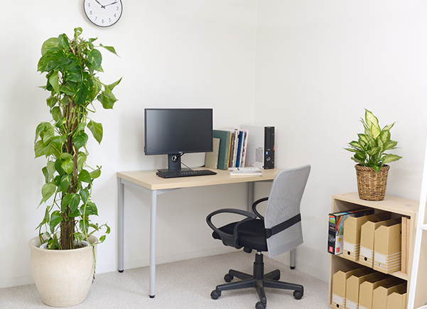 写真：観葉植物