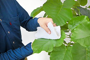 プロがお手入れ・管理を行います