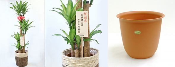 初回納品日にお祝いのリボンと立て札を添えて配送します。