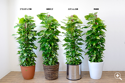 カバーの種類写真